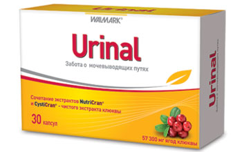 ურინალი / Urinal