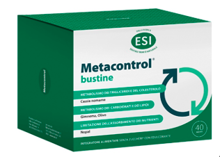 მეტაკონტროლი / Metacontrol