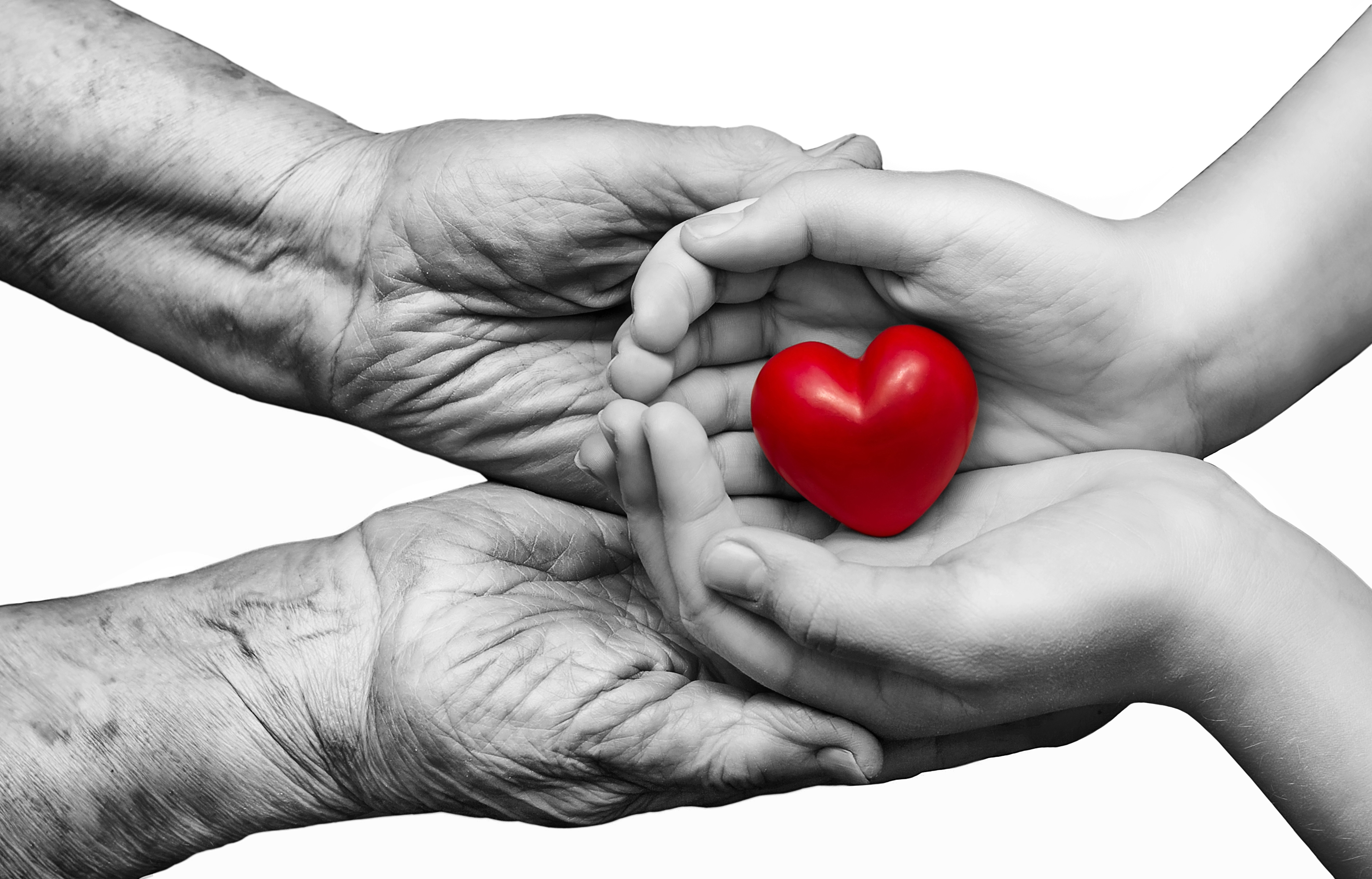 გულმა რომ საათივით იმუშაოს - რა უნდა ვიცოდეთ ტრიმეკორი MR-ზე