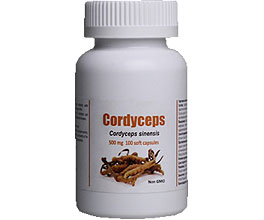 კორდიცეფსი / Cordyceps