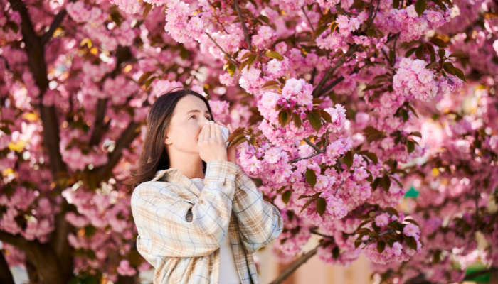 როგორ ვმართოთ სეზონური ალერგია და რა ანტიალერგიული საშუალებები შევარჩიოთ გაზაფხული-ზაფხულის სეზონისთვის
