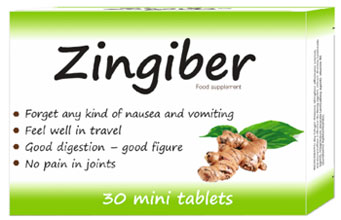 ზინგიბერი / Zingiber