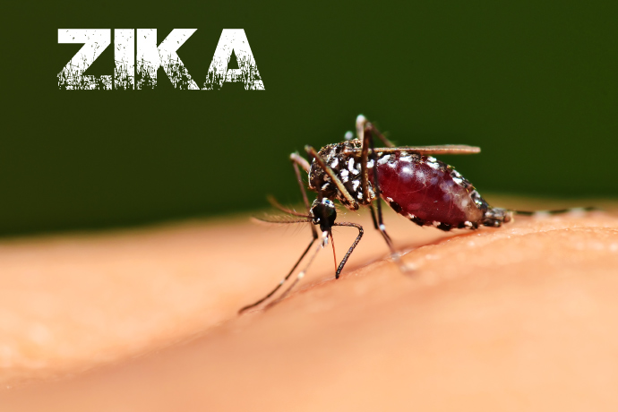 ზიკა ვირუსის გავრცელების საფრთხე საქართველოში