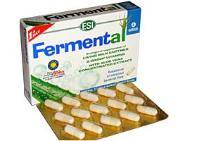 ფერმენტალი / Fermental