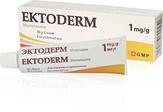 ექტოდერმი / EKTODERM