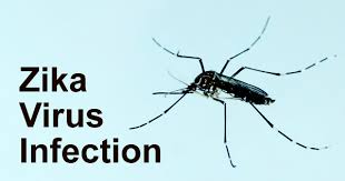 ინფორმაცია ზიკა ვირუსის შესახებ